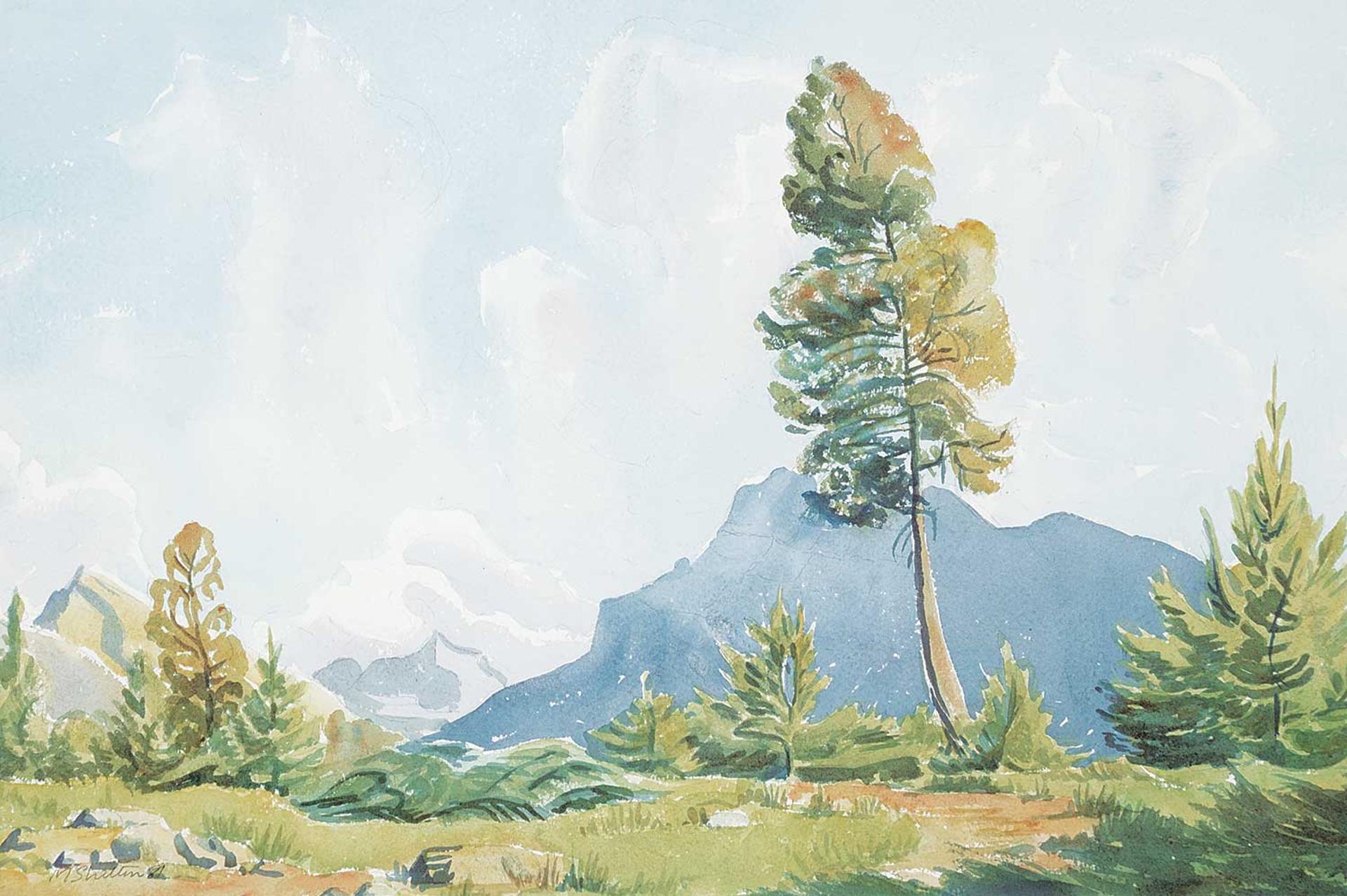 Margaret Dorothy Shelton (1915-1984) - Tree in Banff Campground, Mt. Rundle