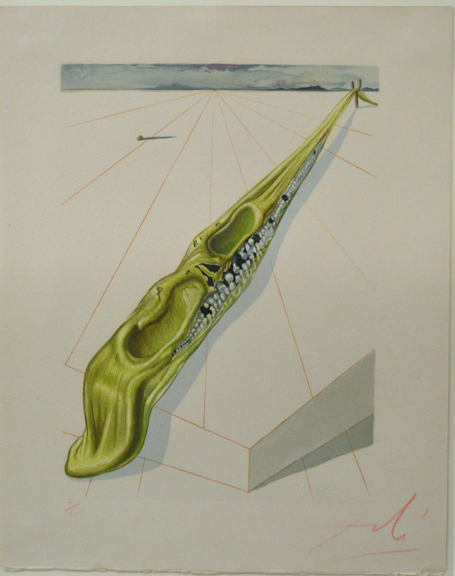 Salvador Dalí (1904-1989) - Étude surréaliste, lithographie