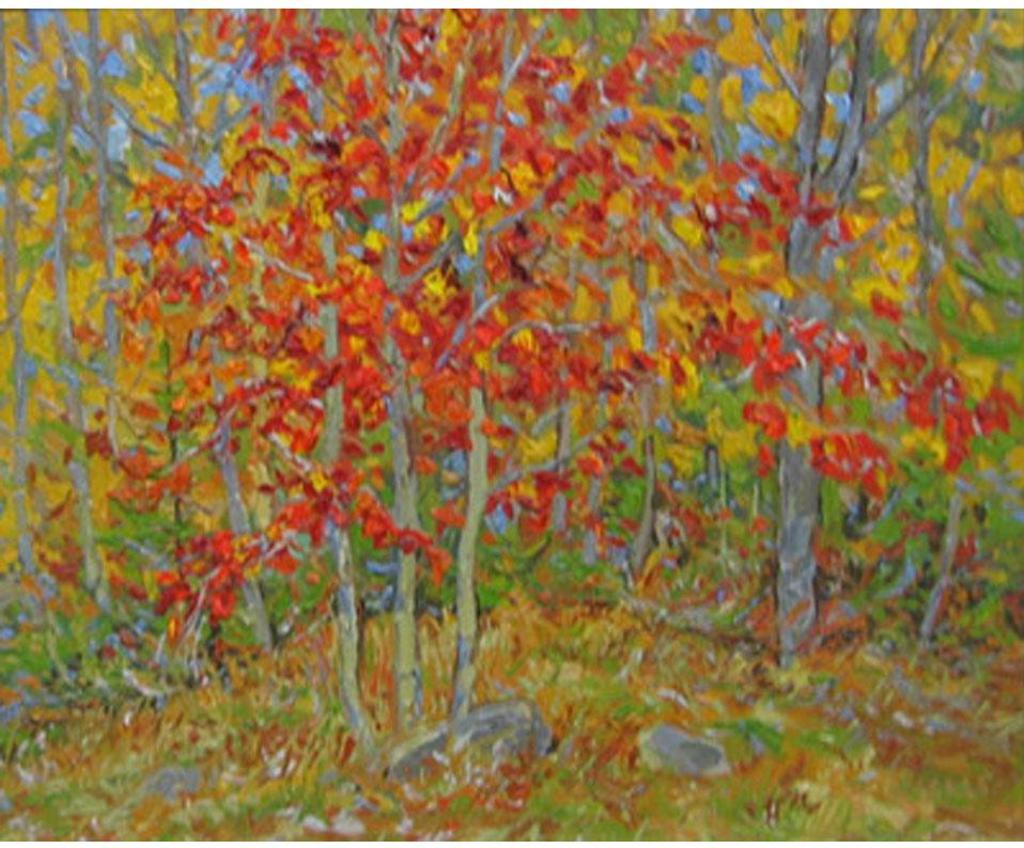 Lawrence Nickle (1931-2014) - Small Maple Trees-Armour Twp. Dist., Parry Sound, Ont.