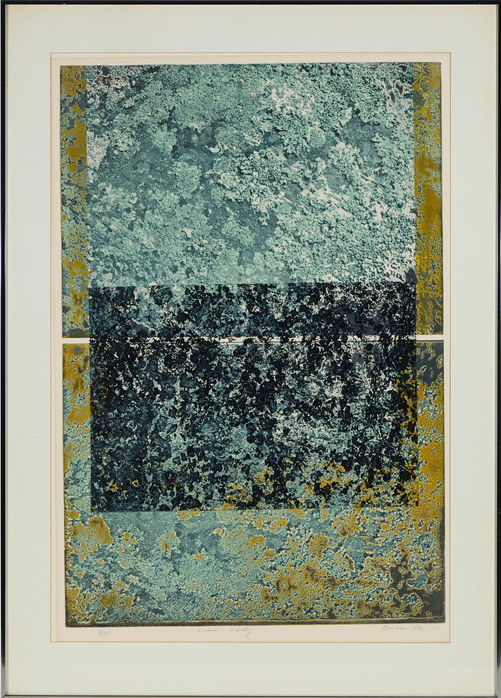 Edward John (Ted) Bartram (1938-2019) - Lichen Geometry