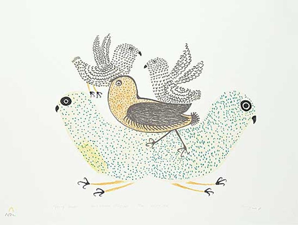 Lucy Qinnuayuak (1915-1982) - Young Birds #21/40