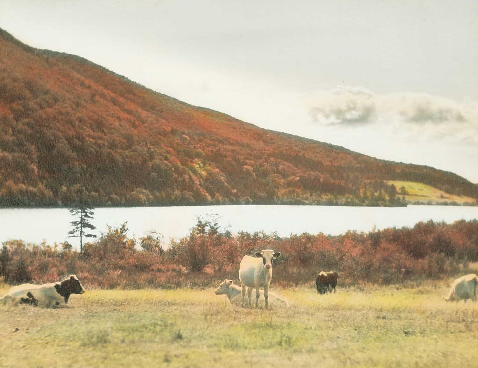 Wallace Robertson Macaskill (1890-1956) - Lake O'Law, Cape Breton N.S.