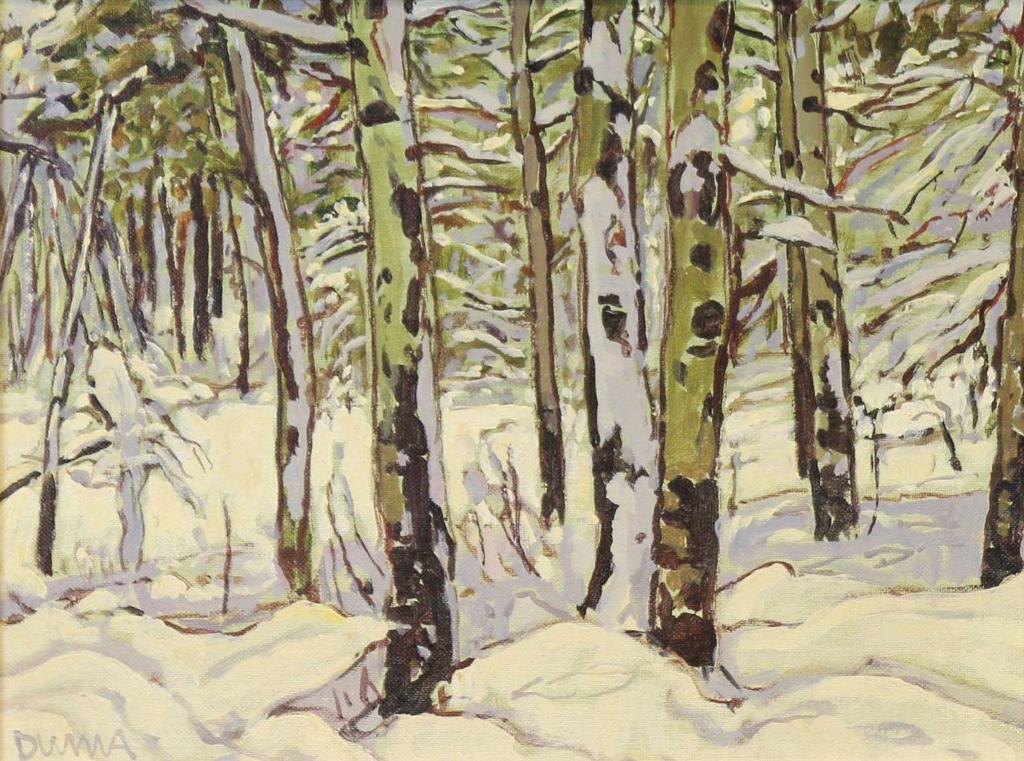 William (Bill) Duma (1936) - October Snow (Waterton Parks); 1994