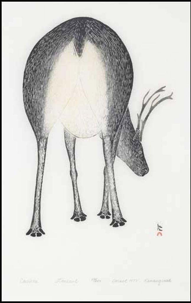 Kananginak Pootoogook (1935-2010) - Caribou