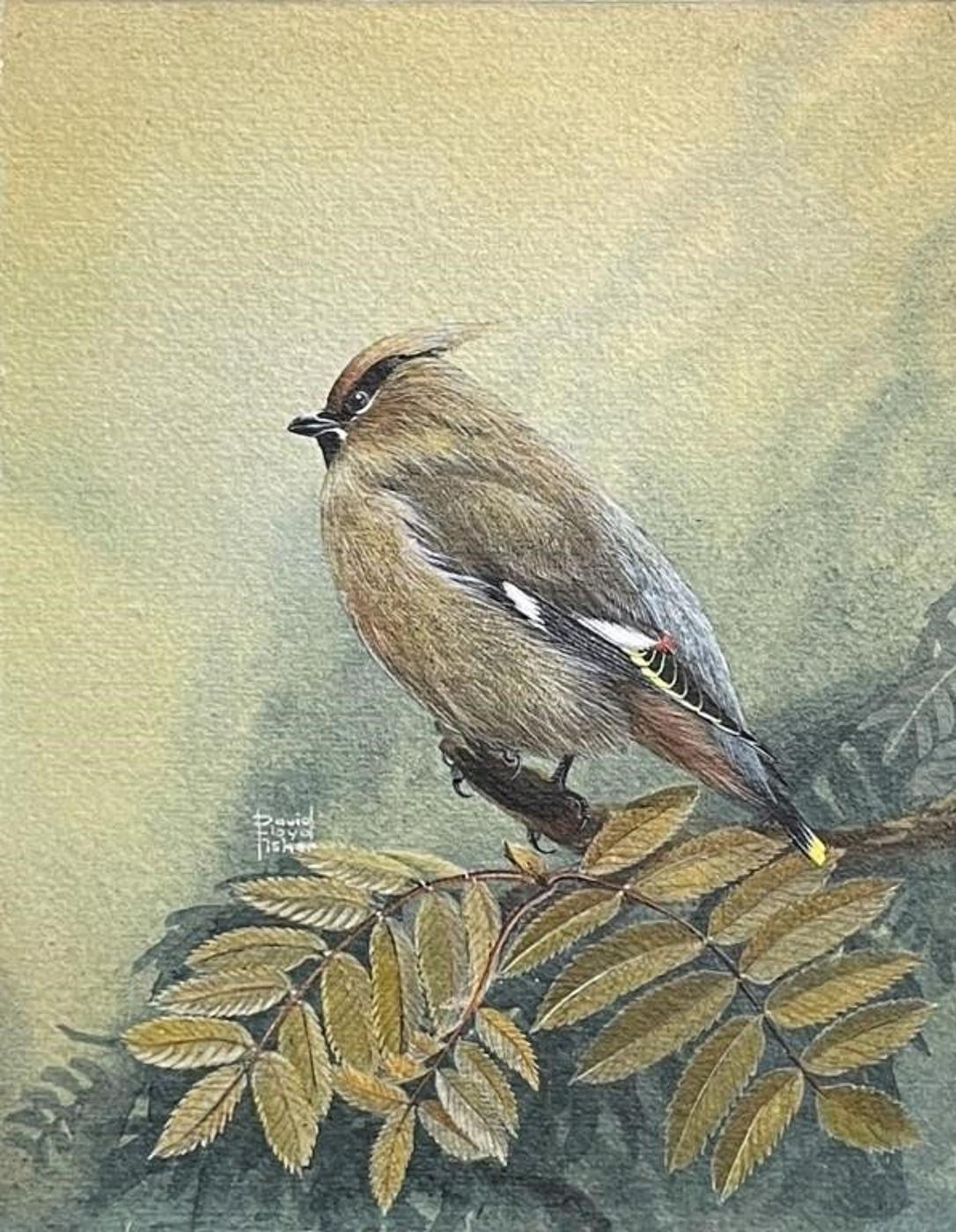 David Lloyd Fisher (1935-2015) - Bohemian Waxwing