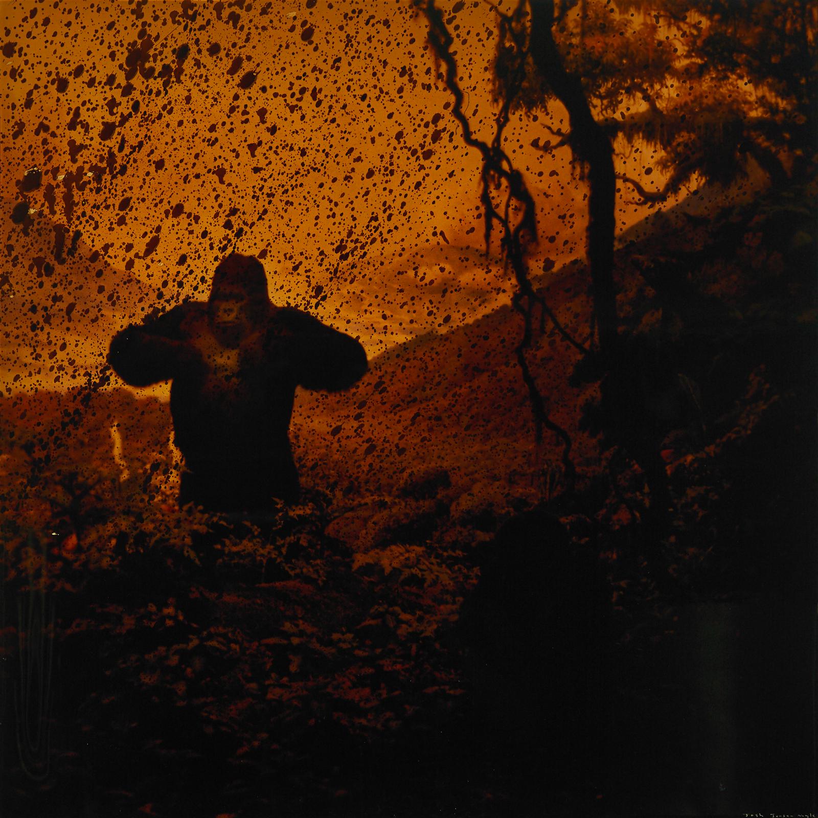 Joshua Jensen-Nagle (1981) - The Gorilla