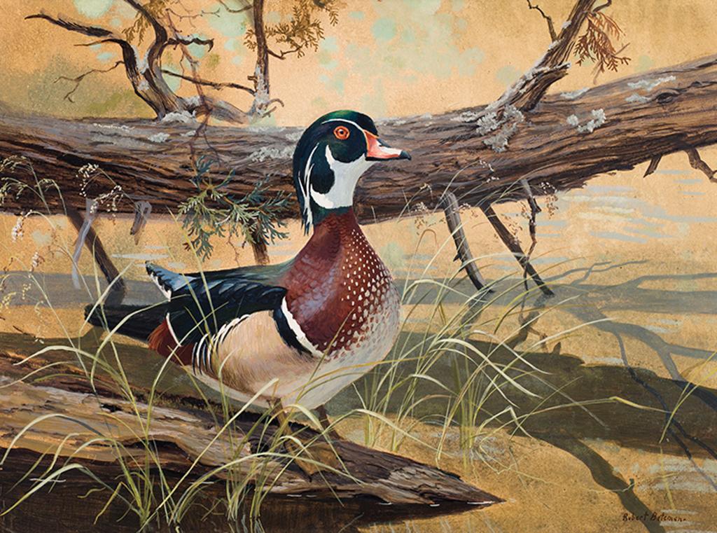 Robert Mclellan Bateman (1930-1922) - Wood Duck