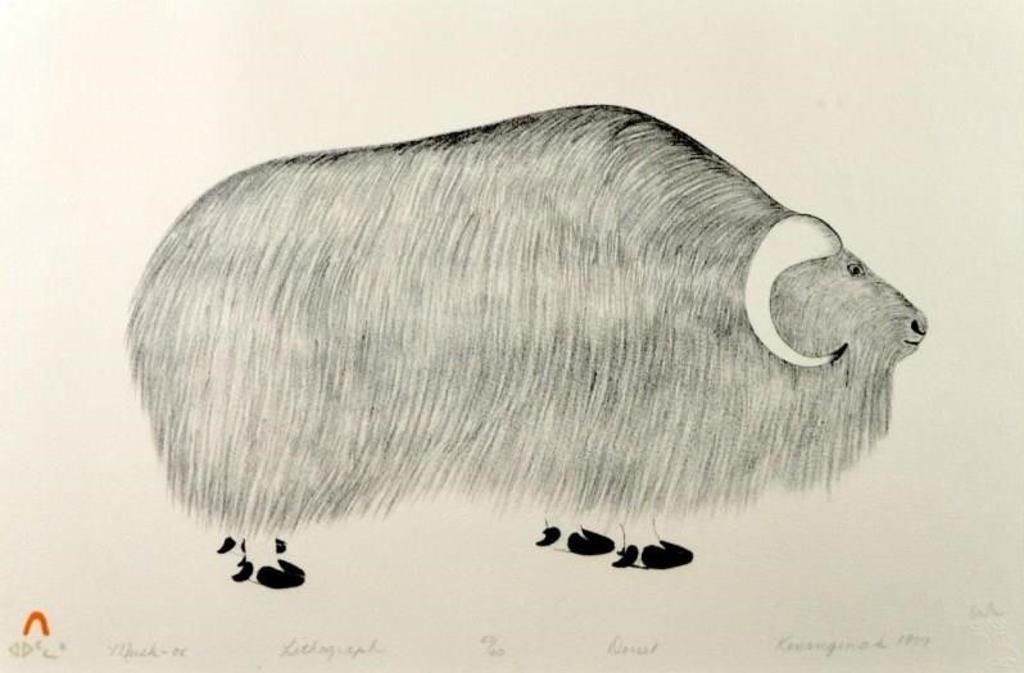 Kananginak Pootoogook (1935-2010) - Musk-Ox