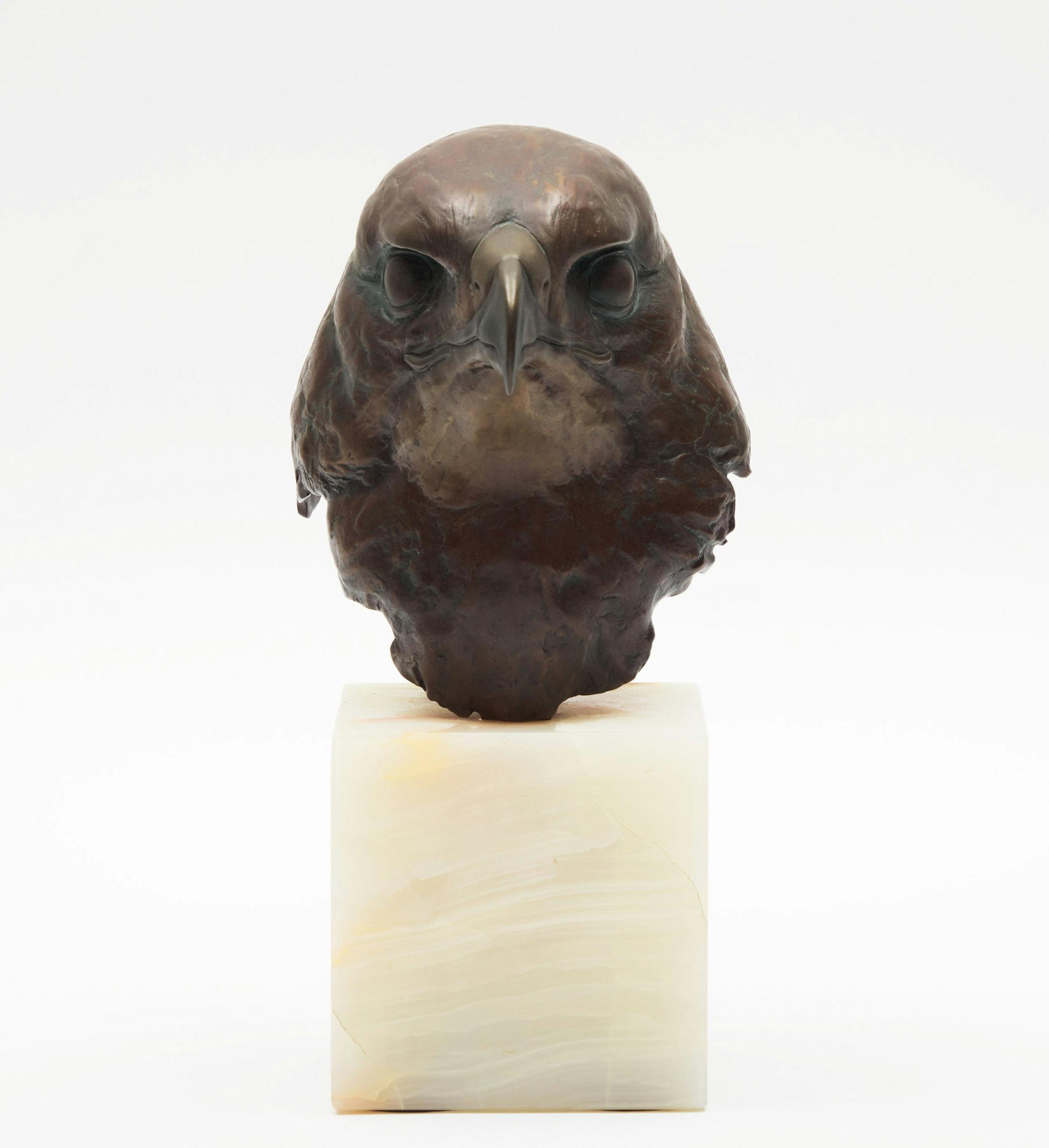 Robert Mclellan Bateman (1930-1922) - Red-Tailed Hawk Head Study (Buteo Jamaicensis)