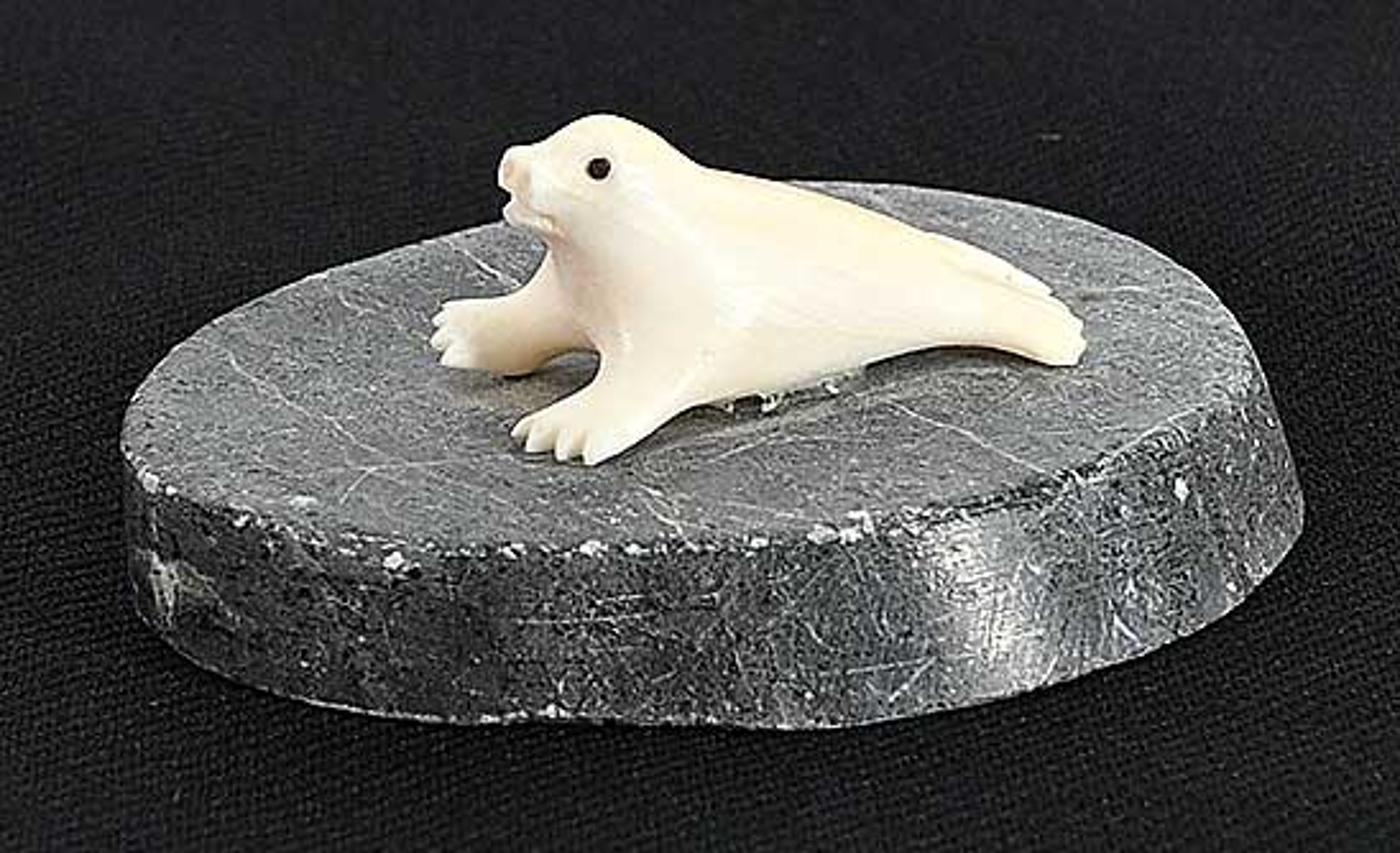 Sammurtok - Mini Seal on Ice