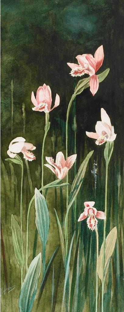 Robert H. Holmes (1861-1930) - Orchids