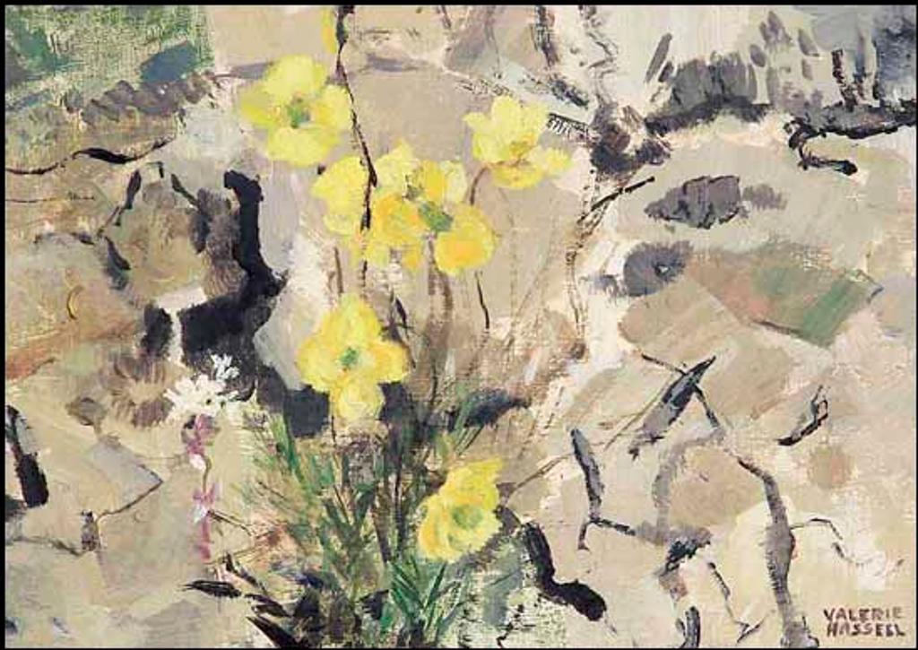 Valerie Ariel Hassell (1914-2001) - Arctic Poppies, Broughton, Baffin Island, E. Arctic (00747/2013-335)