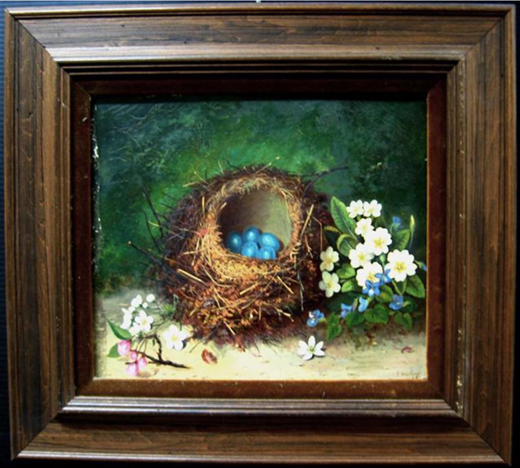 R. Hudsonn - Bird’S Nest And Flowers