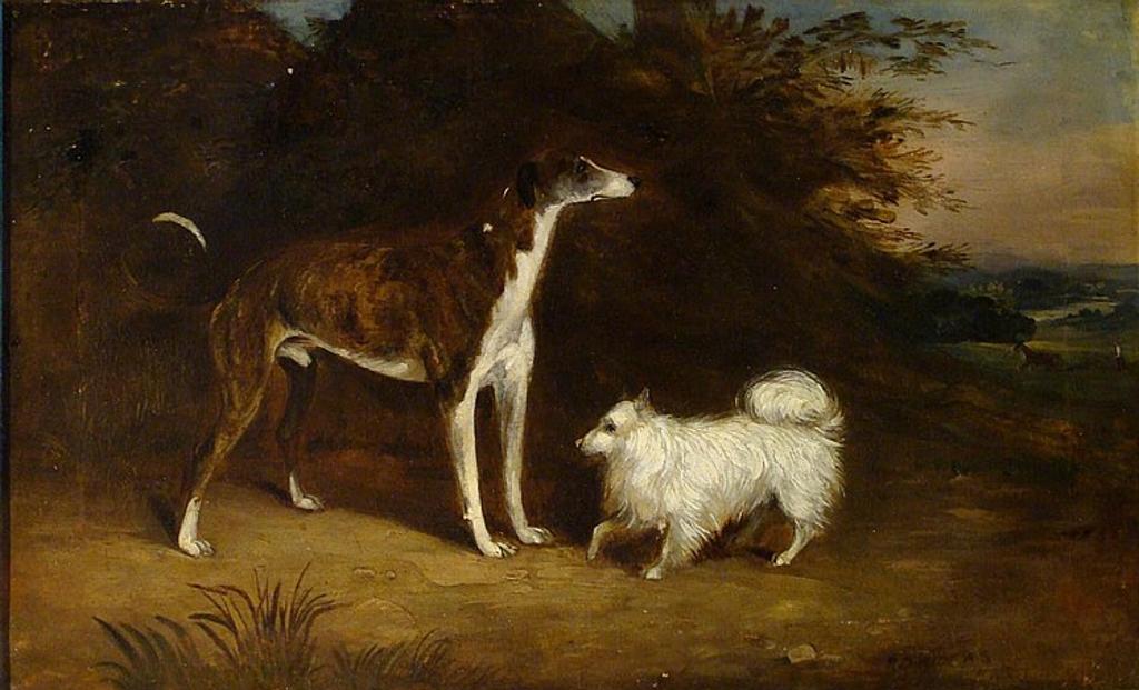 Richard Dodd Widdas (1826-1885) - DOGS IN A LANDSCAPE