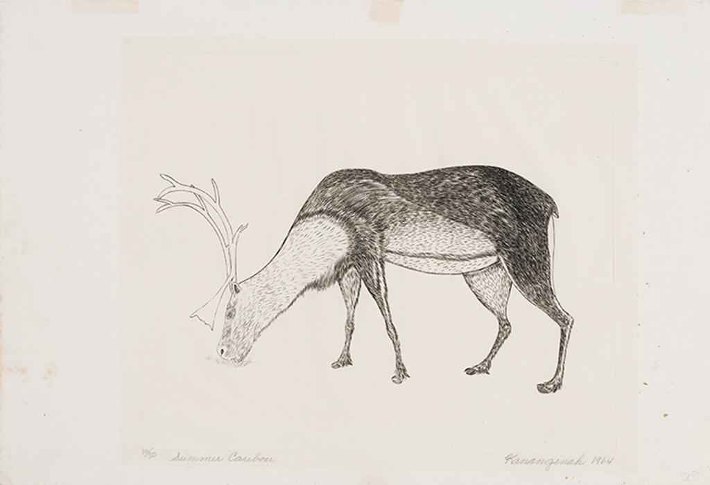 Kananginak Pootoogook (1935-2010) - Summer Caribou