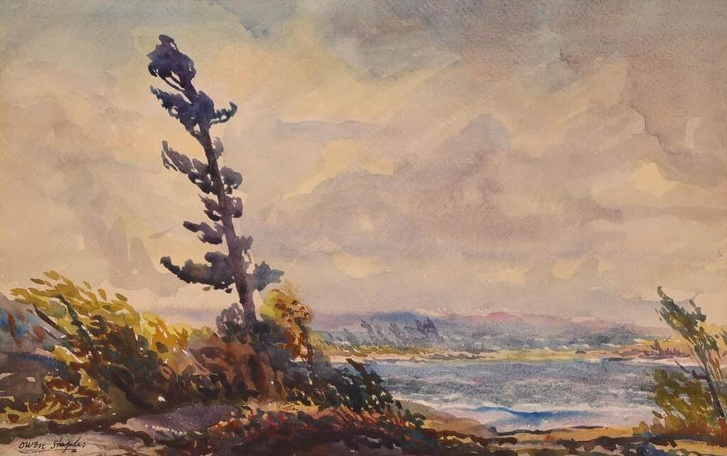 Owen B. Staples (1866-1949) - Windswept, Georgian Bay; Ca 1927