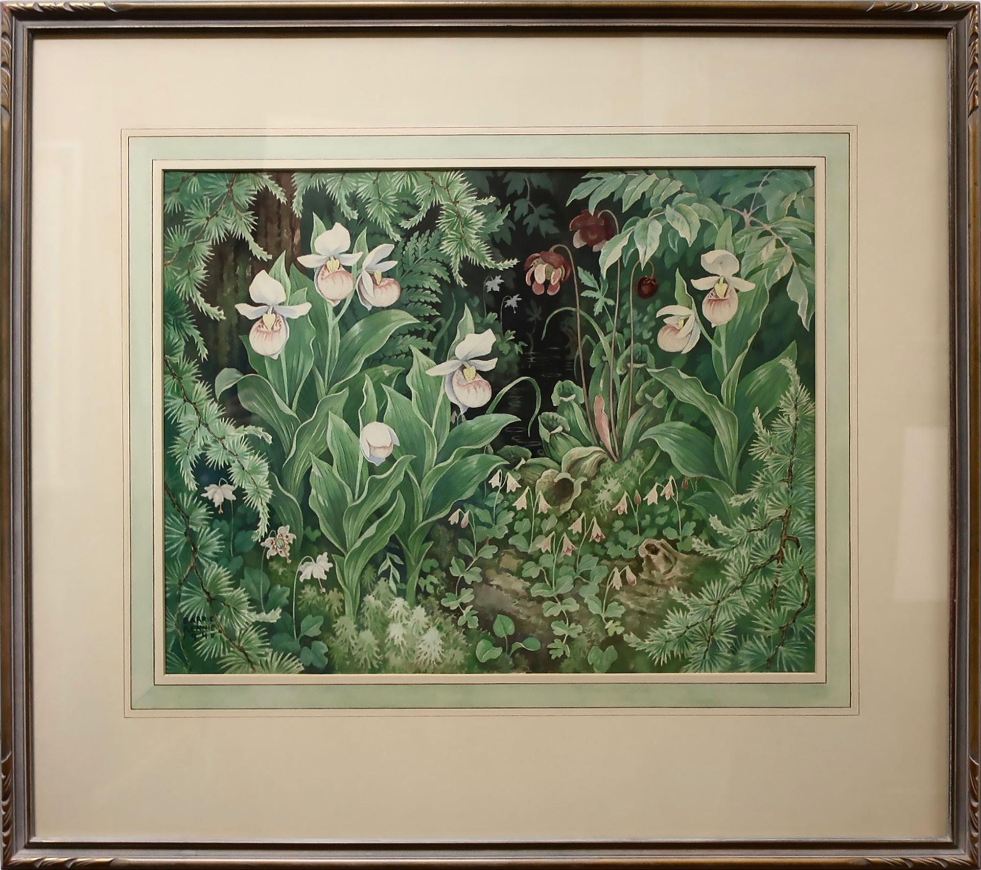 John Barrie Rennie (1895-1965) - Wild Orchids