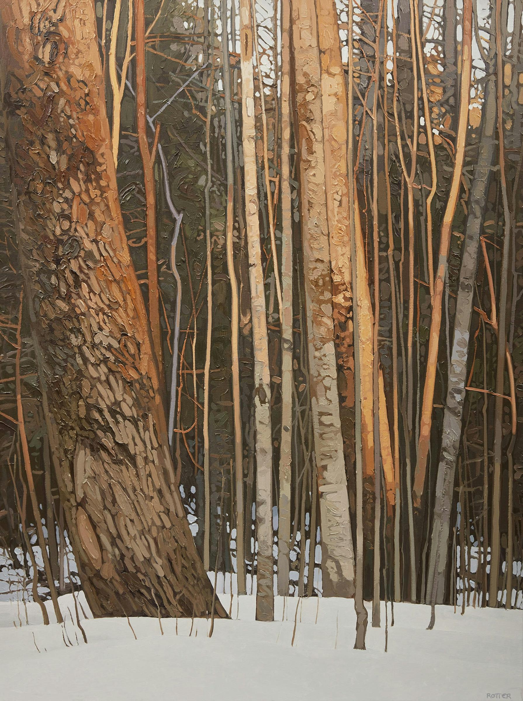 Peter Rotter - Forest in Winter