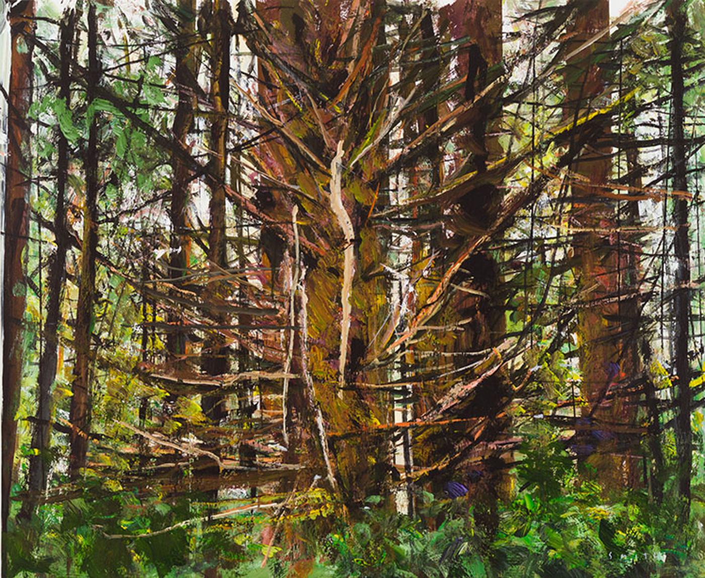 Gordon Applebee Smith (1919-2020) - Old Growth Forest