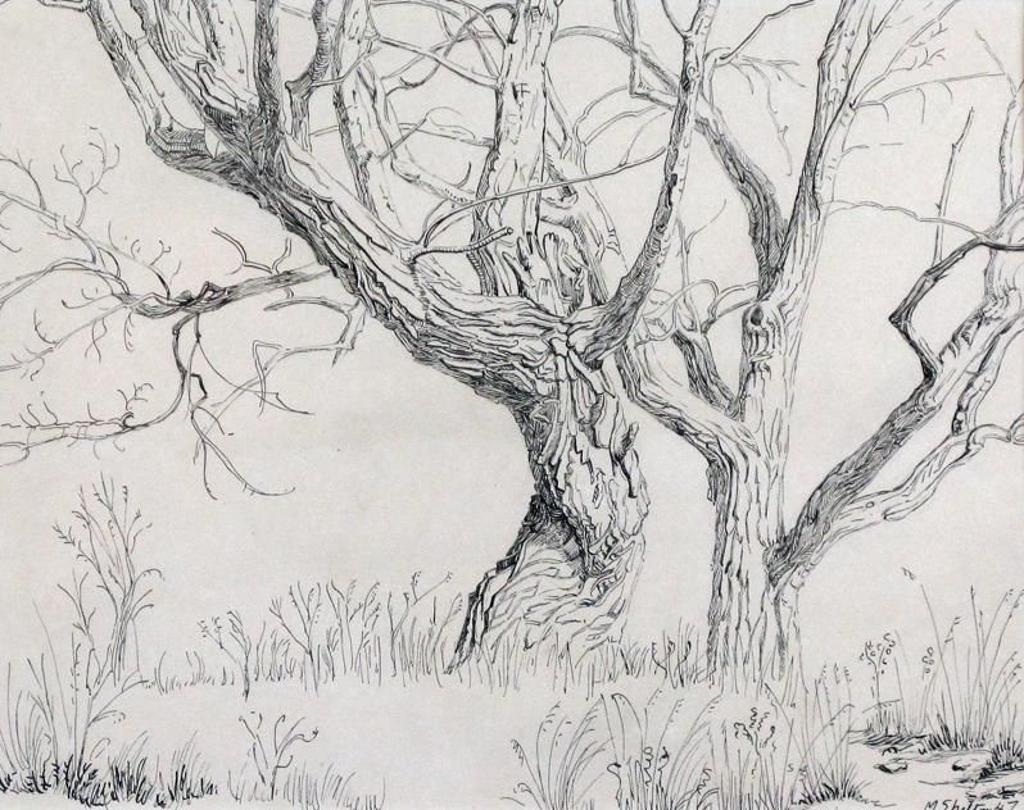 Margaret Dorothy Shelton (1915-1984) - Gnarled Cottonwood Trees; 1947