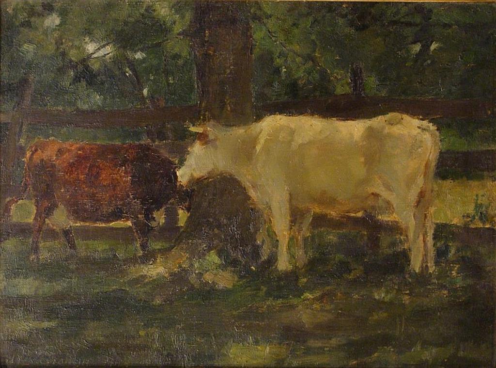 James Lillie Graham (1873-1970) - UNTITLED- CATTLE UNDER THE SHADE OF A CANOPY TREE