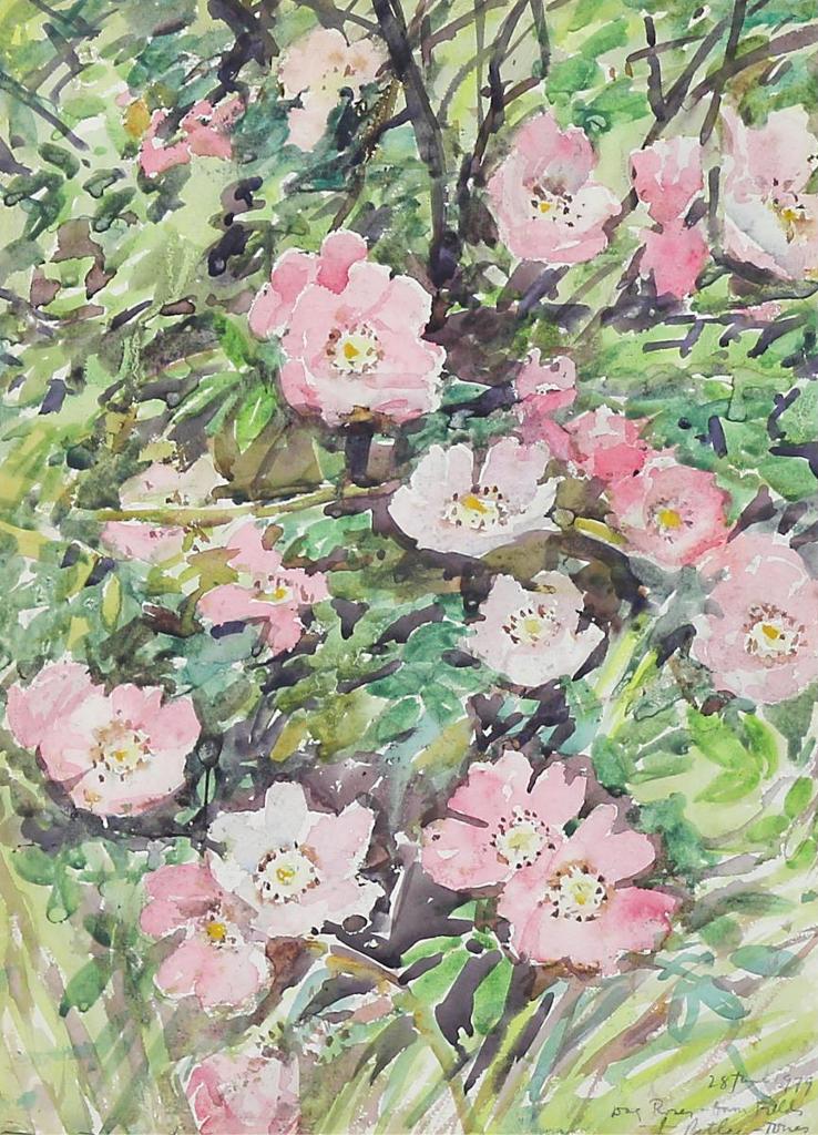 Llewellyn Petley-Jones (1908-1986) - Dog Roses; 1979