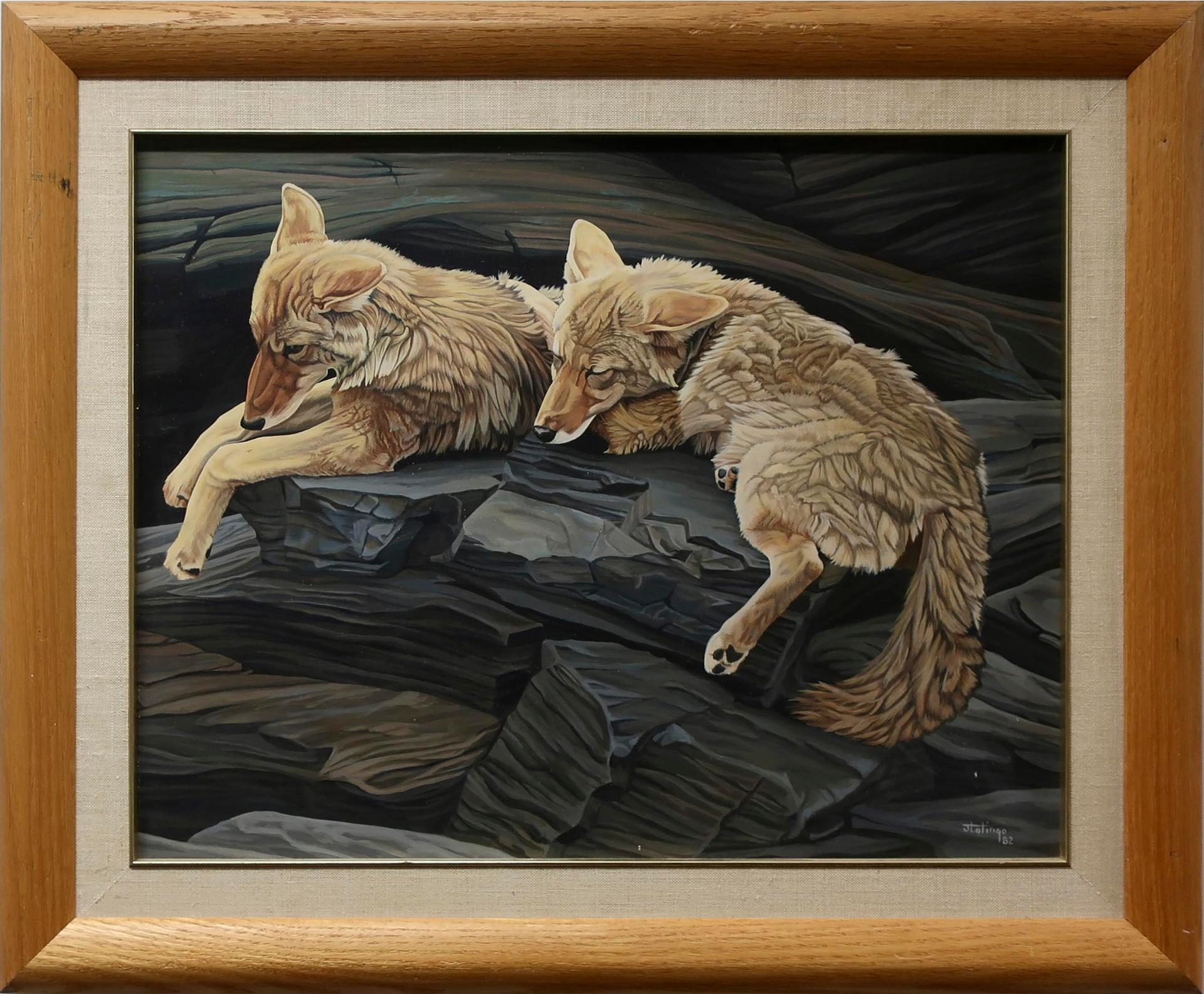 Judy Lalingo - Untitled (Coyotes At Rest)