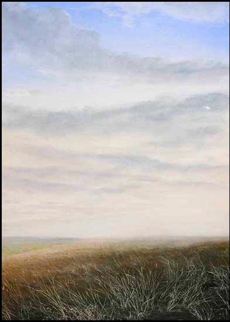 Donna Kriekle (1945) - Prairie Wool (01216/2013-1536)