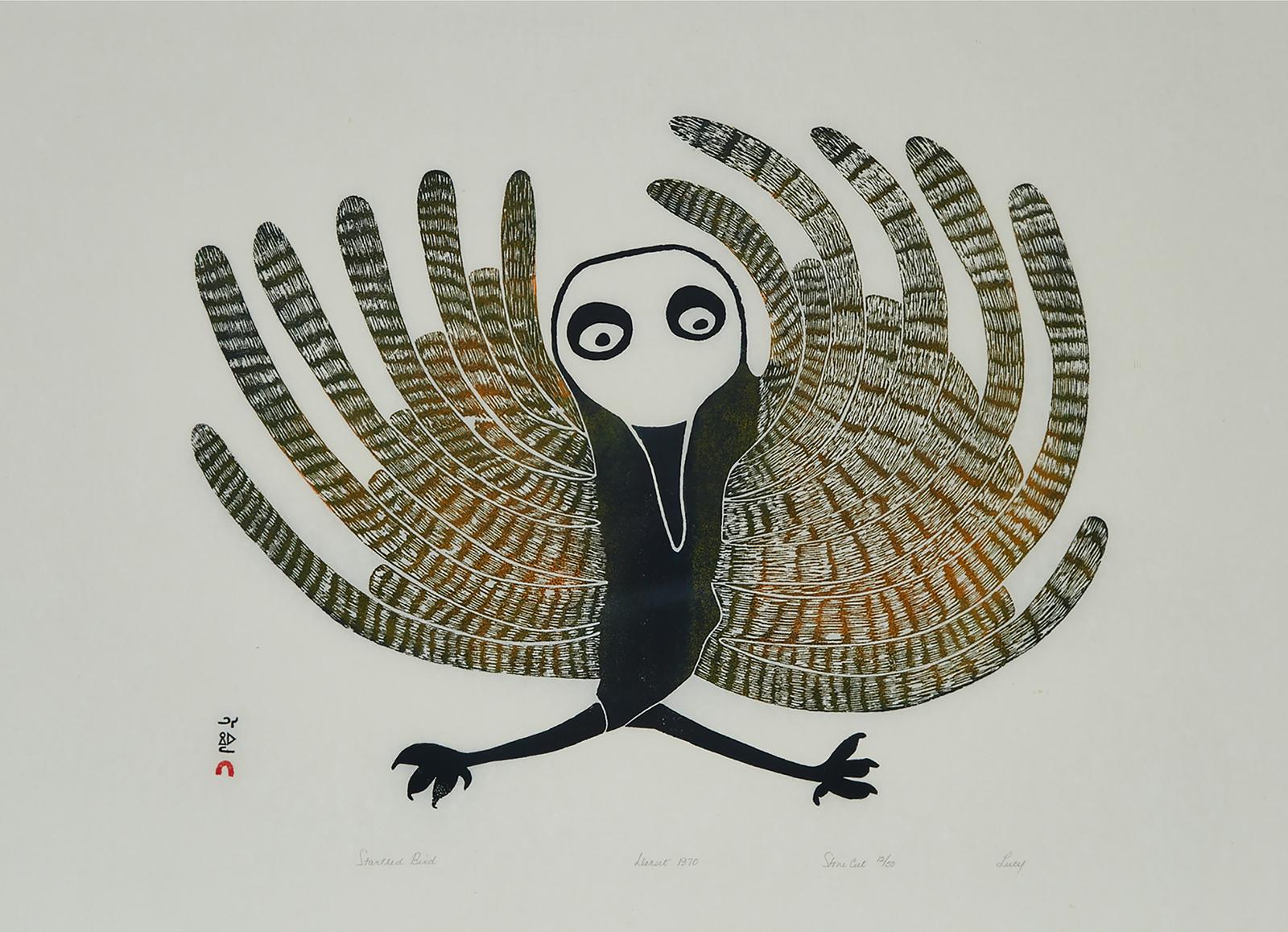 Lucy Qinnuayuak (1915-1982) - Startled Bird
