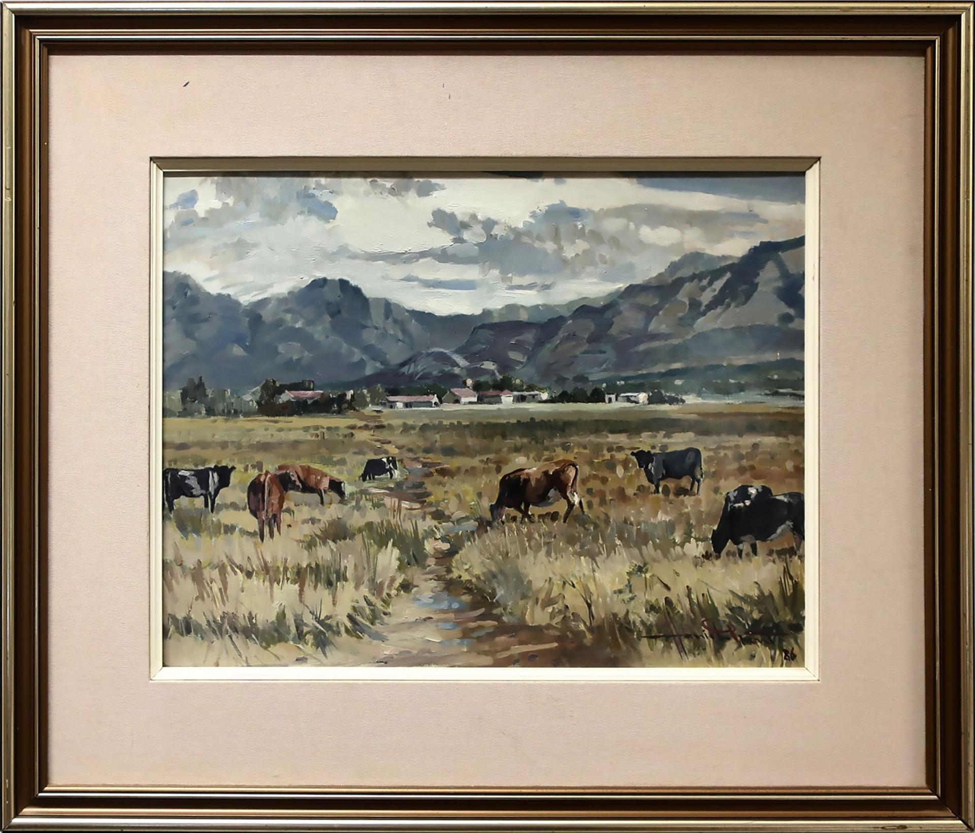 Hamish Grant (1938-2013) - Grazing Cattle