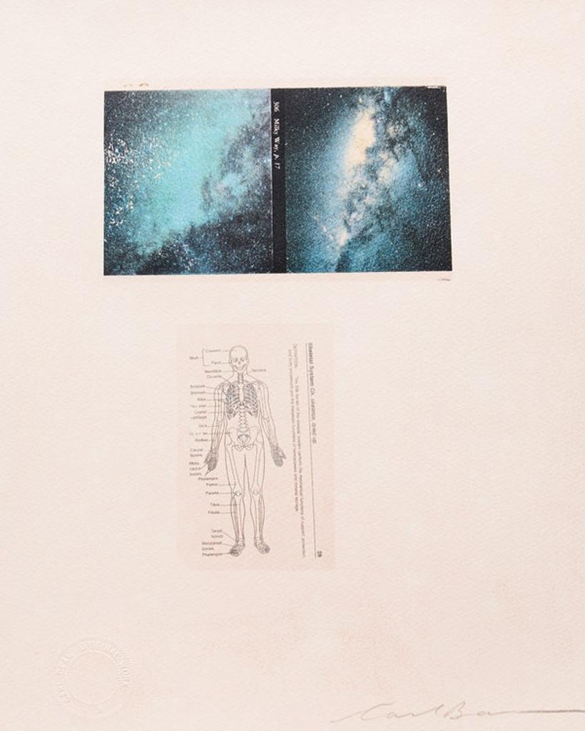 Carl Beam (1943-2005) - Untitled (Milky Way / Skeletal System)