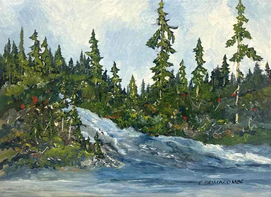 Errol A. Brimacombe (1947) - Woodland Waterfalls