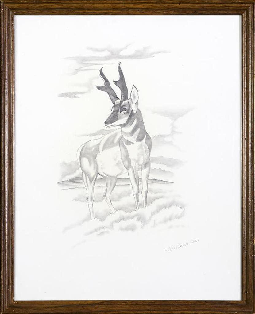 Jerry Daniels - Untitled - Antelope