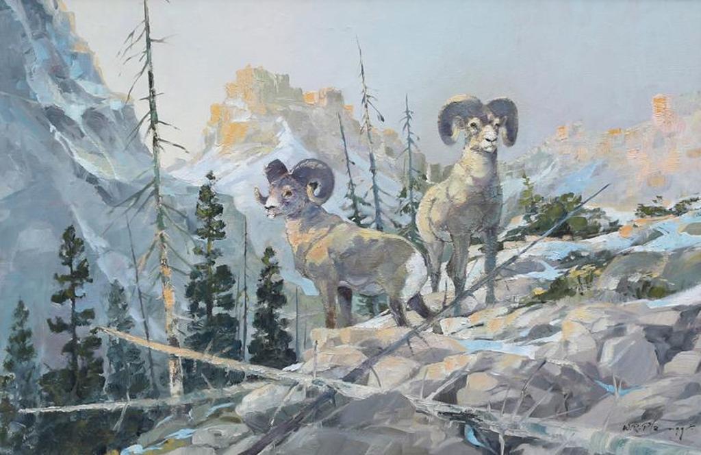 Werner R. Plangg (1934-1994) - Mountain Sheep, In The High Country