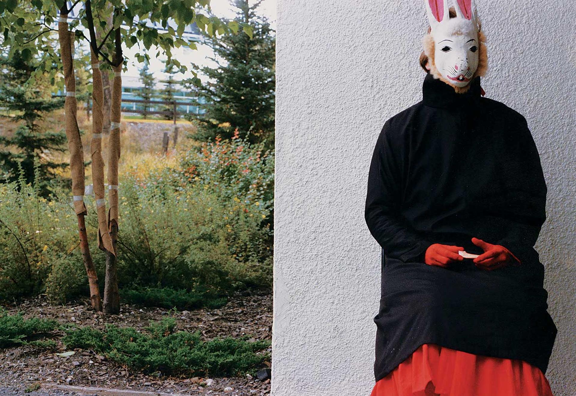Barbara Todd - Untitled - Wrapped Trees and Bunny Mask