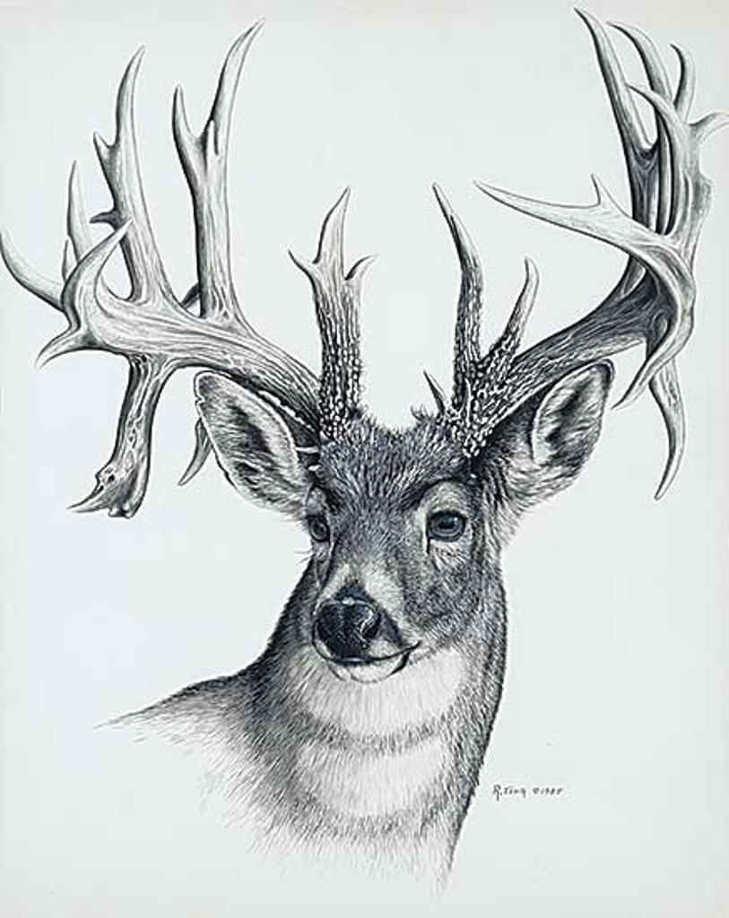 Randy Fehr (1948) - Untitled - Deer Portrait