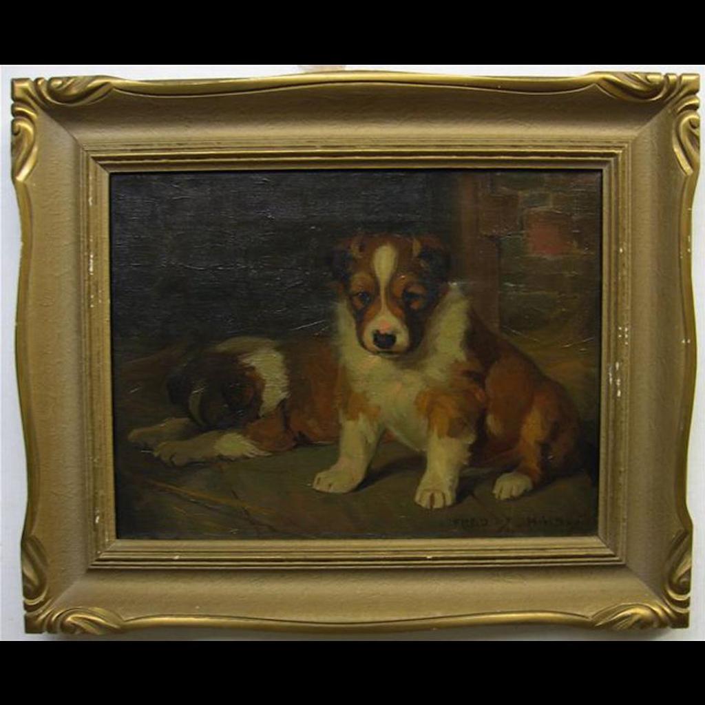 Frederick Stanley Haines (1879-1960) - Puppies