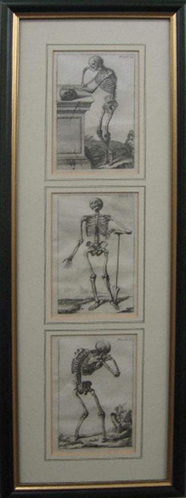Charles-Nicholas Cochin - Skeleton Studies