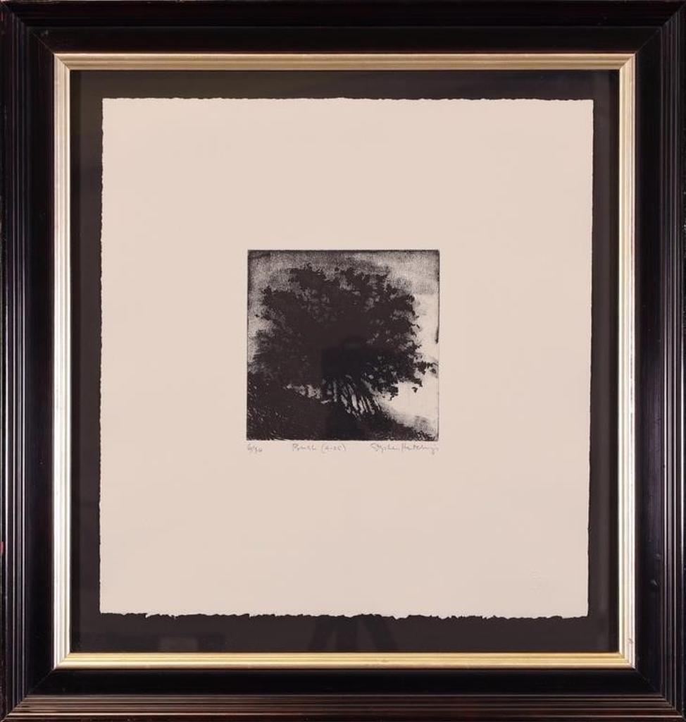 Stephen Hutchings (1948) - Bush (4-25); ed. #6/30
