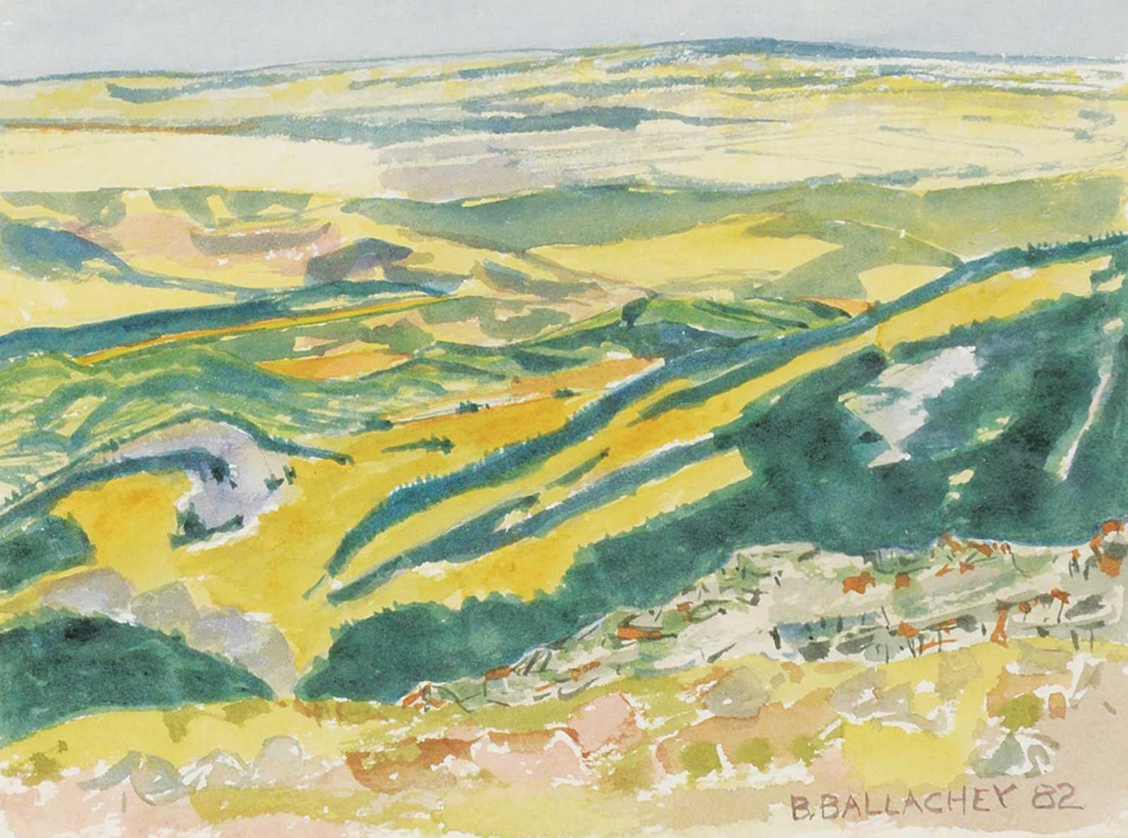 Barbara Ballachey (1949) - Untitled - Landscape