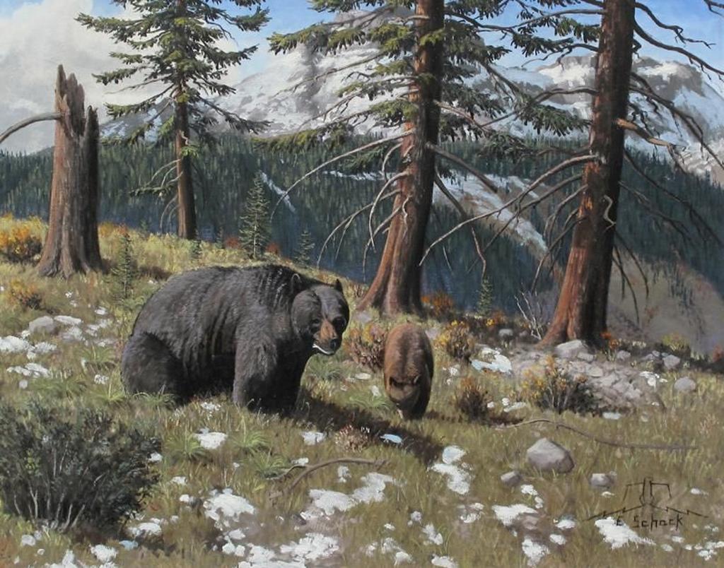 Elmer Schock - Black Bear And Cub