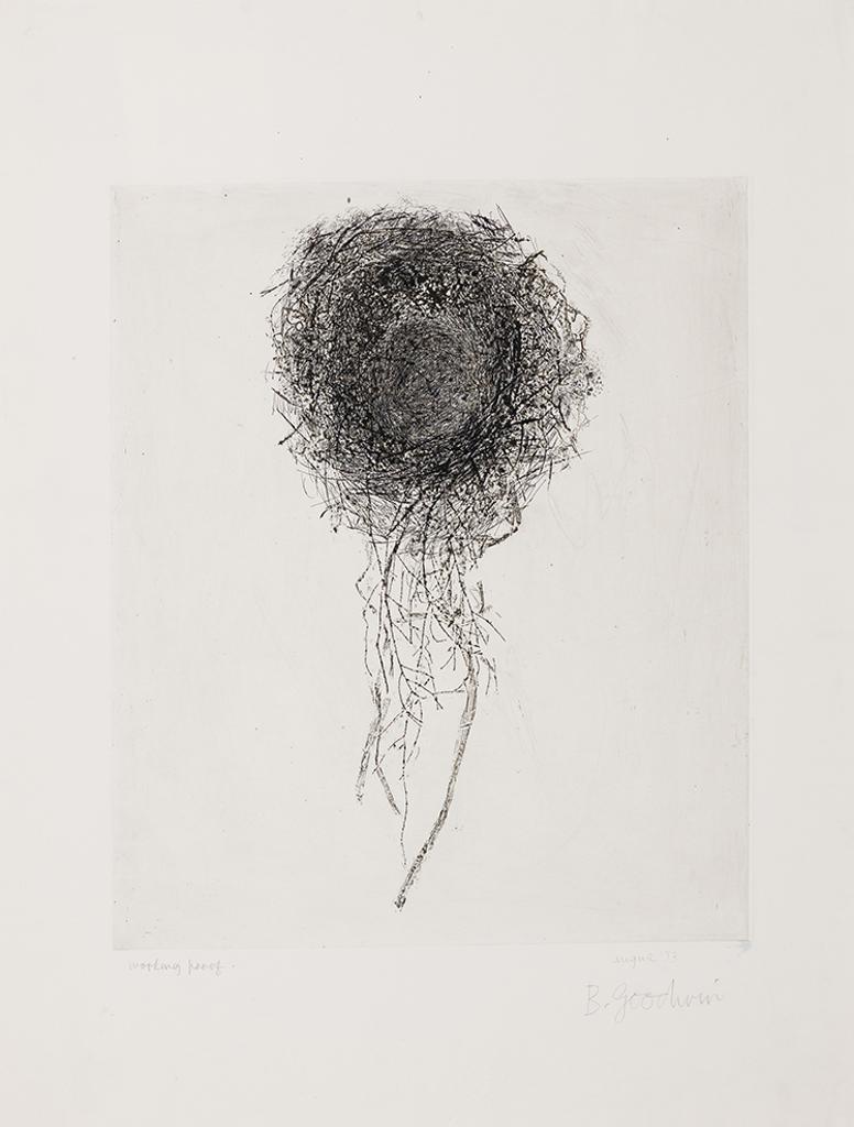 Betty Roodish Goodwin (1923-2008) - Nest with Hanging Grass (Nest Six)