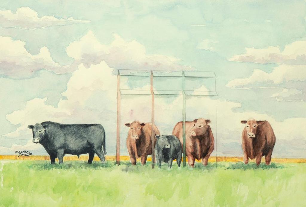 R. Lawes - Untitled - Cattle