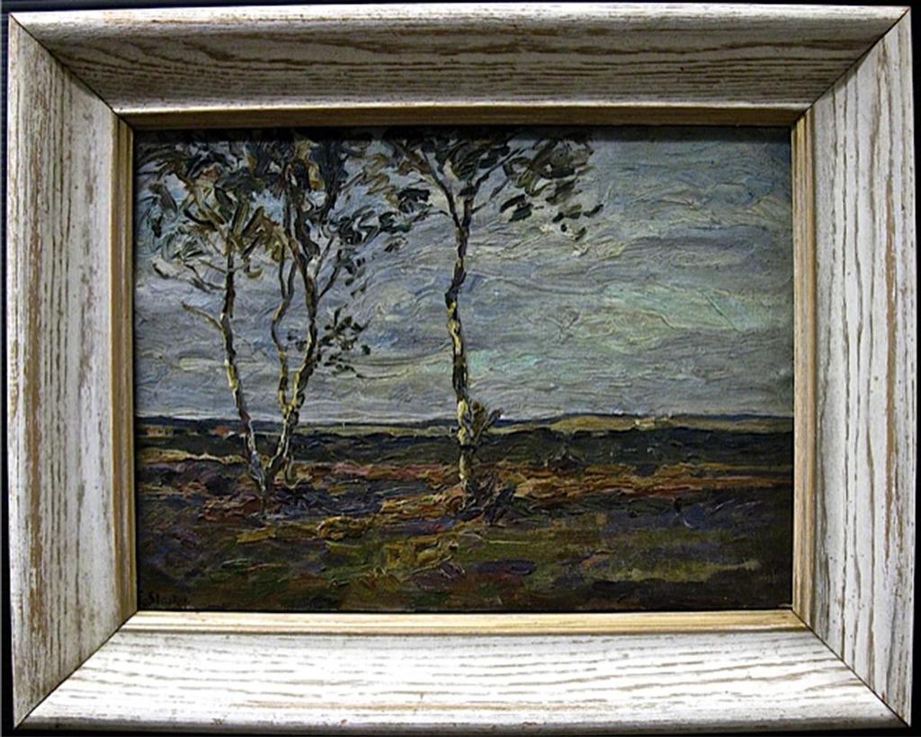 Edwin Starker (1872-1938) - Birch Trees In A Landscape   Oil On Canvas; Signed Lower Left