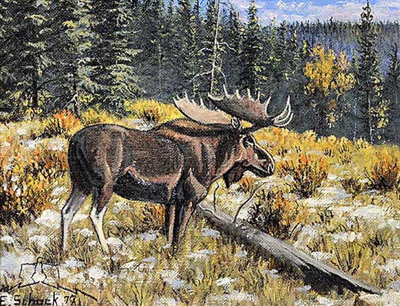 Elmer Schock (1970) - Untitled - Moose