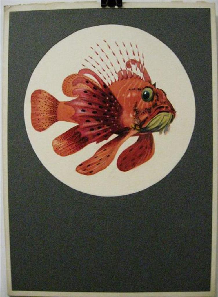 Frederick William Harris (1890) - Red Lion Fish; Insects (Bees, Beetle, Grasshopper, Caterpillar)