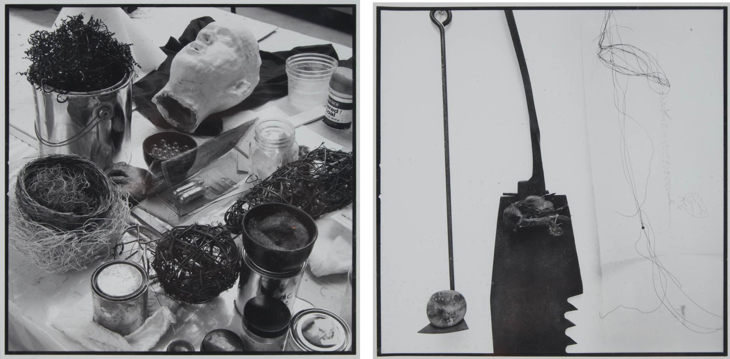 Jeffrey James - Untitled (Still Life); Untitled (Dead Bird)