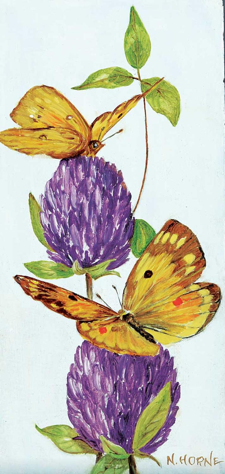 N. Horne - Alfalfa Butterfly
