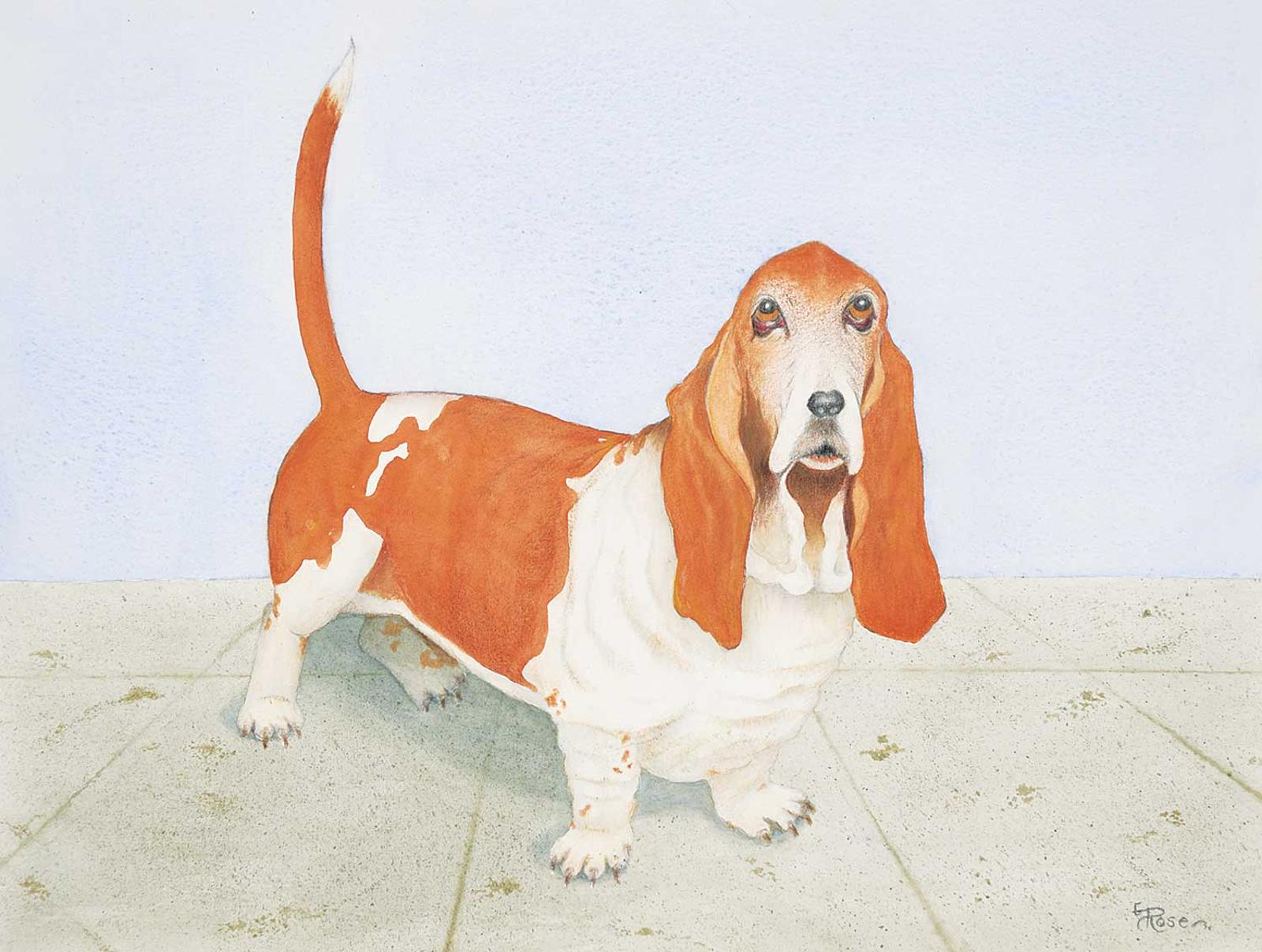 E. Rosen - Untitled - Puppy Eyes