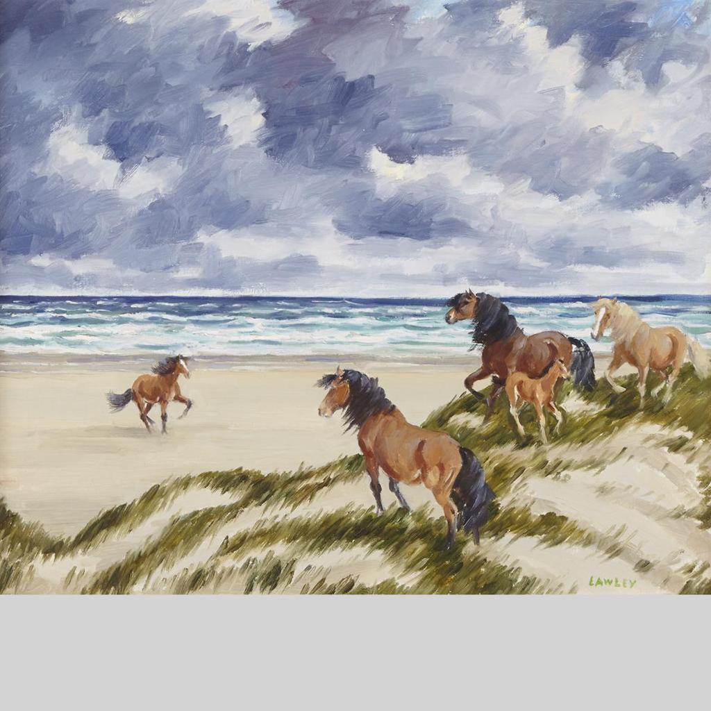 John Douglas Lawley (1906-1971) - Sable Island